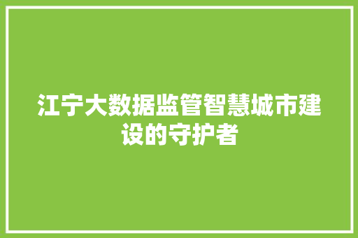 江宁大数据监管智慧城市建设的守护者