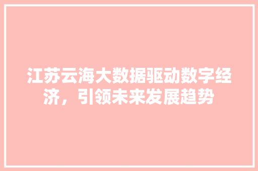 江苏云海大数据驱动数字经济，引领未来发展趋势