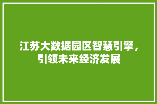 江苏大数据园区智慧引擎，引领未来经济发展