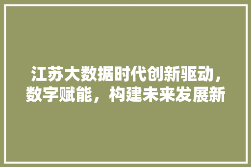 江苏大数据时代创新驱动，数字赋能，构建未来发展新格局