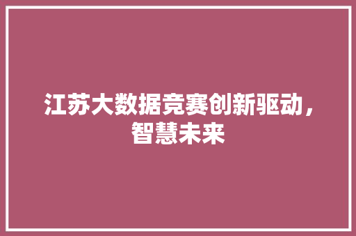 江苏大数据竞赛创新驱动，智慧未来