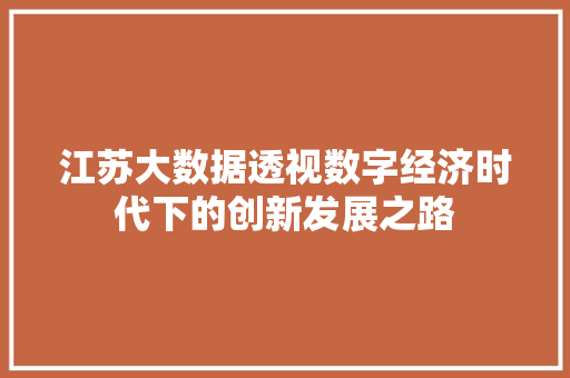 江苏大数据透视数字经济时代下的创新发展之路