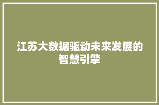 江苏大数据驱动未来发展的智慧引擎