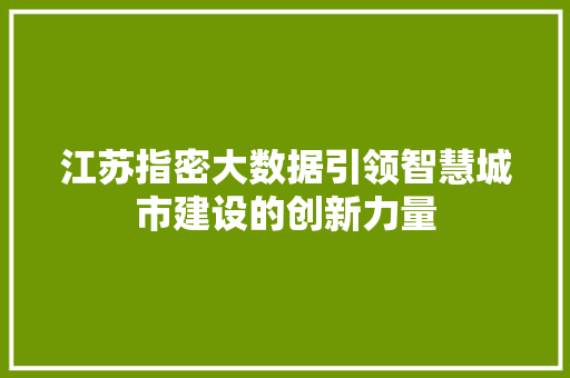 江苏指密大数据引领智慧城市建设的创新力量