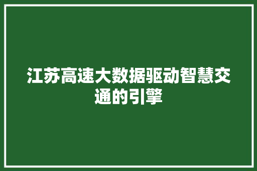江苏高速大数据驱动智慧交通的引擎