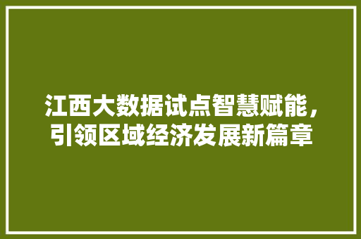 江西大数据试点智慧赋能,引领区域经济发展新篇章 江西大数据试点智慧赋能,引领区域经济发展新篇章