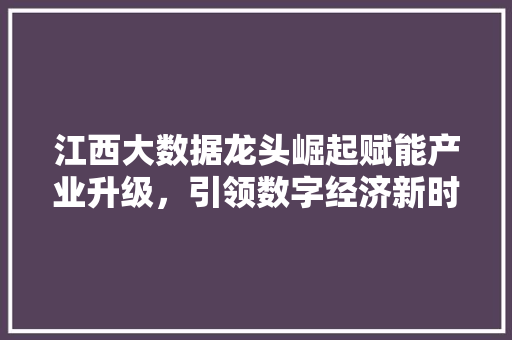 江西大数据龙头崛起赋能产业升级，引领数字经济新时代