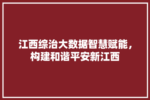江西综治大数据智慧赋能,构建和谐平安新江西 江西综治大数据智慧赋能,构建和谐平安新江西