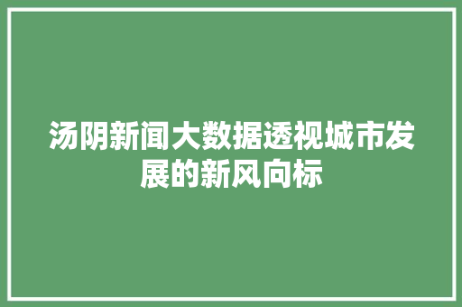 汤阴新闻大数据透视城市发展的新风向标