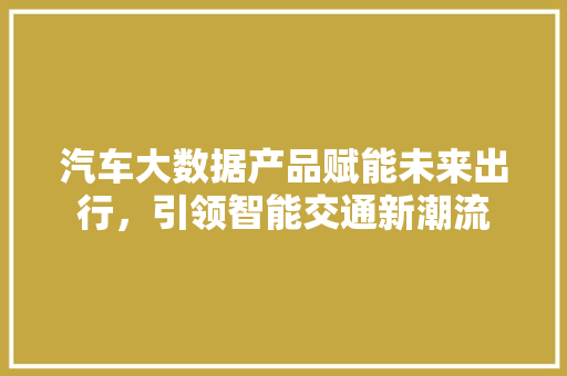 汽车大数据产品赋能未来出行，引领智能交通新潮流