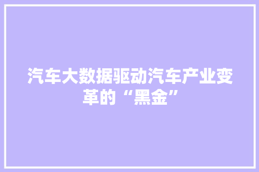 汽车大数据驱动汽车产业变革的“黑金”