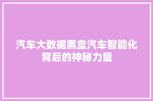 汽车大数据黑盒汽车智能化背后的神秘力量
