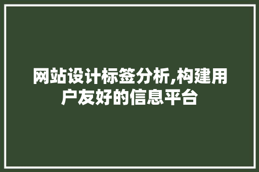 网站设计标签分析,构建用户友好的信息平台 电脑基础 网站设计标签分析,构建用户友好的信息平台 网站设计标签分析,构建用户友好的信息平台 电脑基础