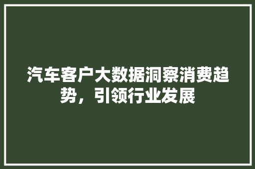 汽车客户大数据洞察消费趋势，引领行业发展