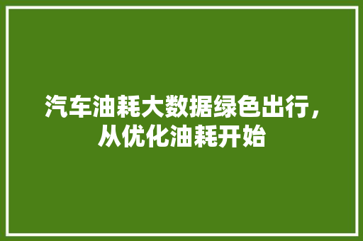 汽车油耗大数据绿色出行，从优化油耗开始