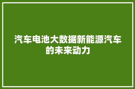 汽车电池大数据新能源汽车的未来动力