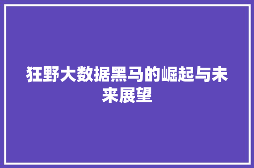 狂野大数据黑马的崛起与未来展望