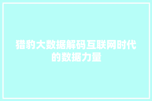 猎豹大数据解码互联网时代的数据力量