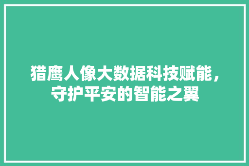 猎鹰人像大数据科技赋能,守护平安的智能之翼 猎鹰人像大数据科技赋能,守护平安的智能之翼