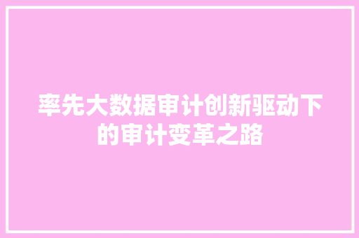 率先大数据审计创新驱动下的审计变革之路