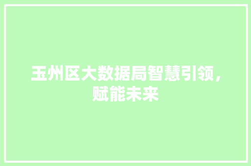玉州区大数据局智慧引领,赋能未来 玉州区大数据局智慧引领,赋能未来
