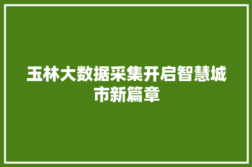 玉林大数据采集开启智慧城市新篇章 玉林大数据采集开启智慧城市新篇章