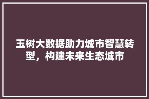 玉树大数据助力城市智慧转型，构建未来生态城市