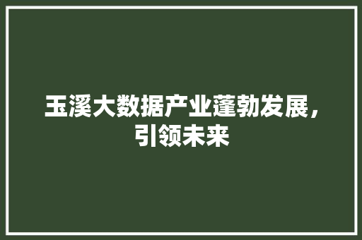 玉溪大数据产业蓬勃发展，引领未来