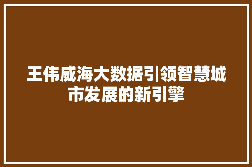 王伟威海大数据引领智慧城市发展的新引擎