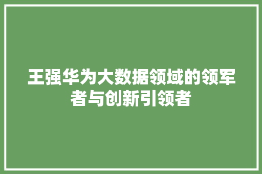 王强华为大数据领域的领军者与创新引领者