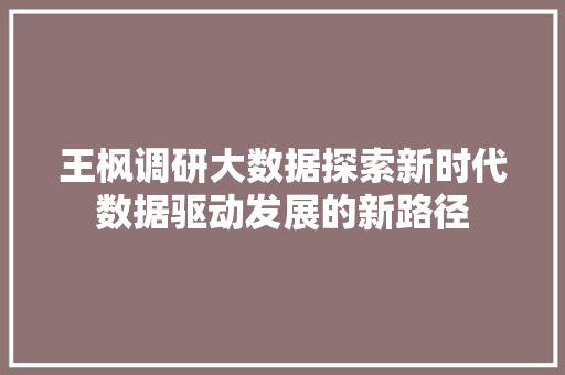 王枫调研大数据探索新时代数据驱动发展的新路径 操作系统