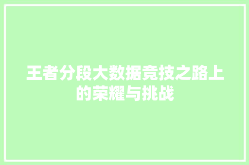 王者分段大数据竞技之路上的荣耀与挑战