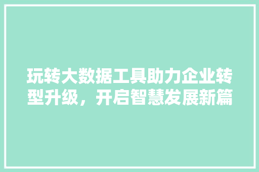 玩转大数据工具助力企业转型升级，开启智慧发展新篇章