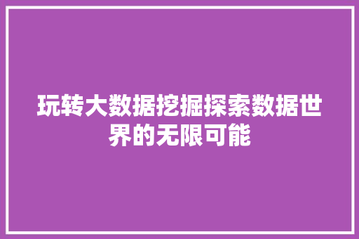 玩转大数据挖掘探索数据世界的无限可能