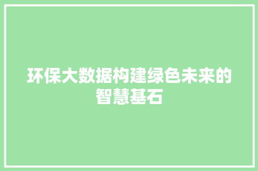 环保大数据构建绿色未来的智慧基石 网络技术