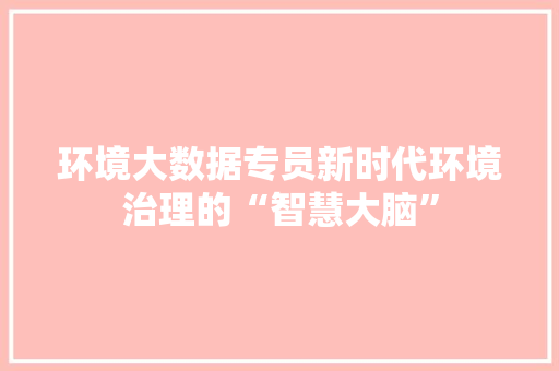 环境大数据专员新时代环境治理的“智慧大脑”