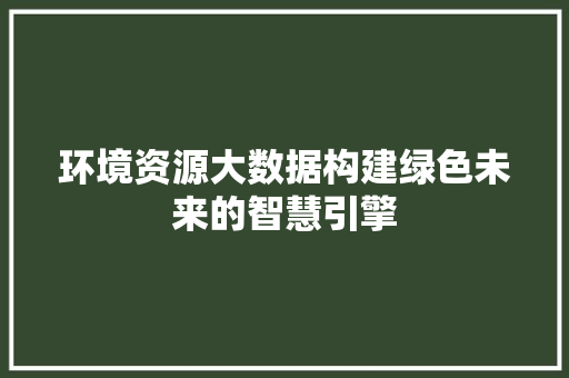 环境资源大数据构建绿色未来的智慧引擎
