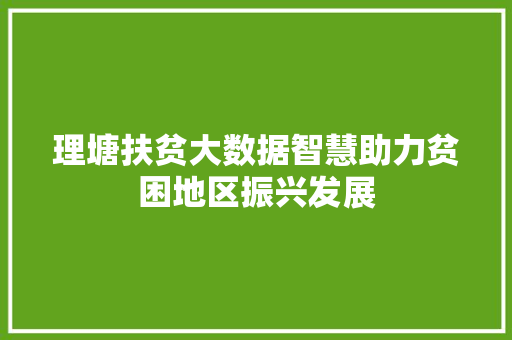 理塘扶贫大数据智慧助力贫困地区振兴发展 电脑故障维修
