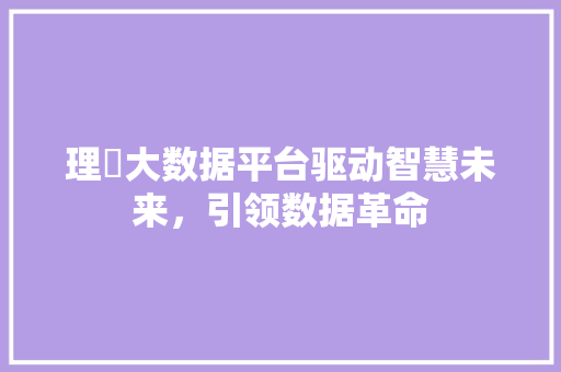 理瓃大数据平台驱动智慧未来，引领数据革命