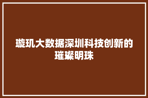 璇玑大数据深圳科技创新的璀璨明珠