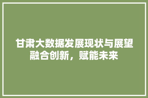 甘肃大数据发展现状与展望融合创新，赋能未来