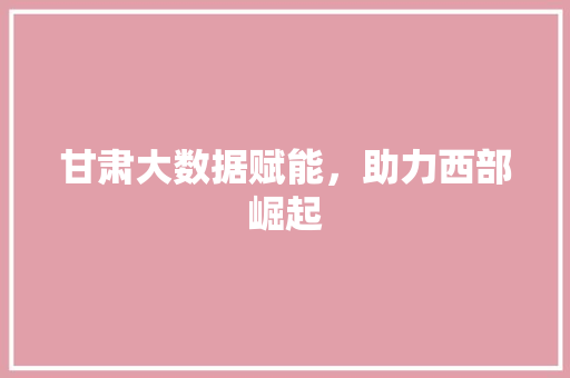 甘肃大数据赋能，助力西部崛起