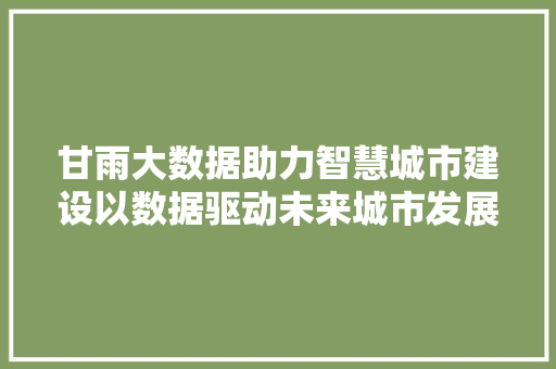 甘雨大数据助力智慧城市建设以数据驱动未来城市发展的新引擎