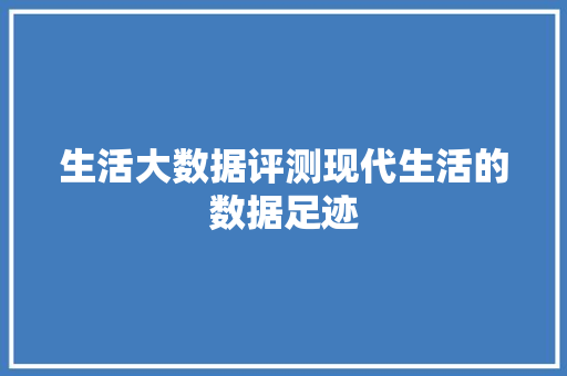 生活大数据评测现代生活的数据足迹