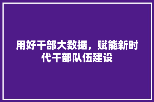 用好干部大数据，赋能新时代干部队伍建设