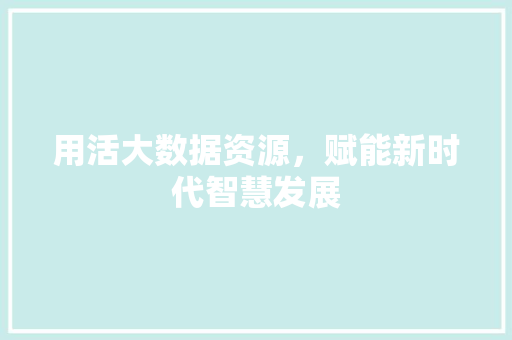 用活大数据资源，赋能新时代智慧发展