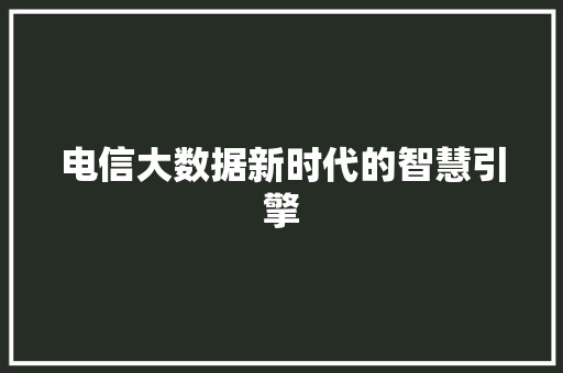 电信大数据新时代的智慧引擎