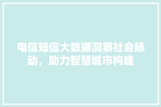 电信短信大数据洞察社会脉动，助力智慧城市构建