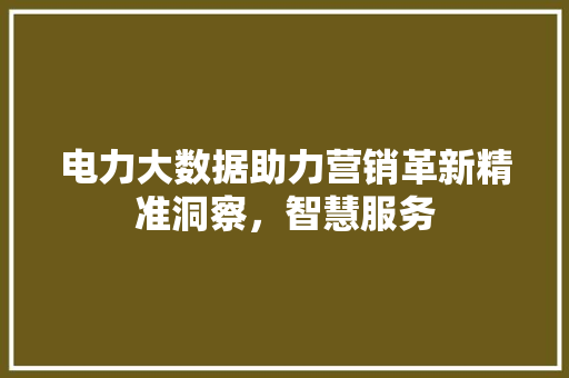 电力大数据助力营销革新精准洞察，智慧服务