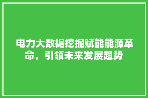 电力大数据挖掘赋能能源革命，引领未来发展趋势